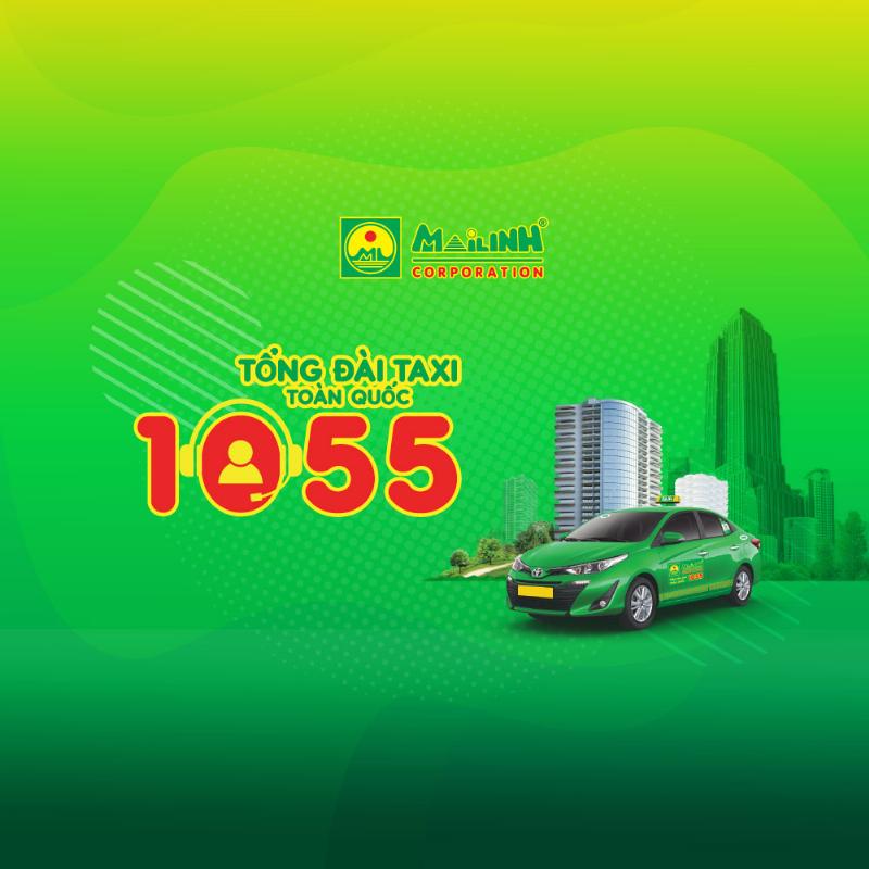 Bieu tuong minh hoa cac dich vu dac biet cua Mai Linh nhu taxi san bay, taxi duong dai, hop dong, chuyen phat